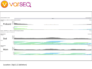 16p11.2-Deletion-Annotated