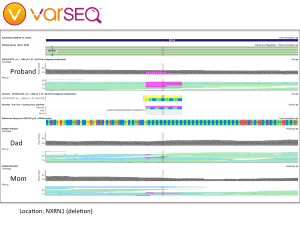 NRXN1-Deletion-Annotated